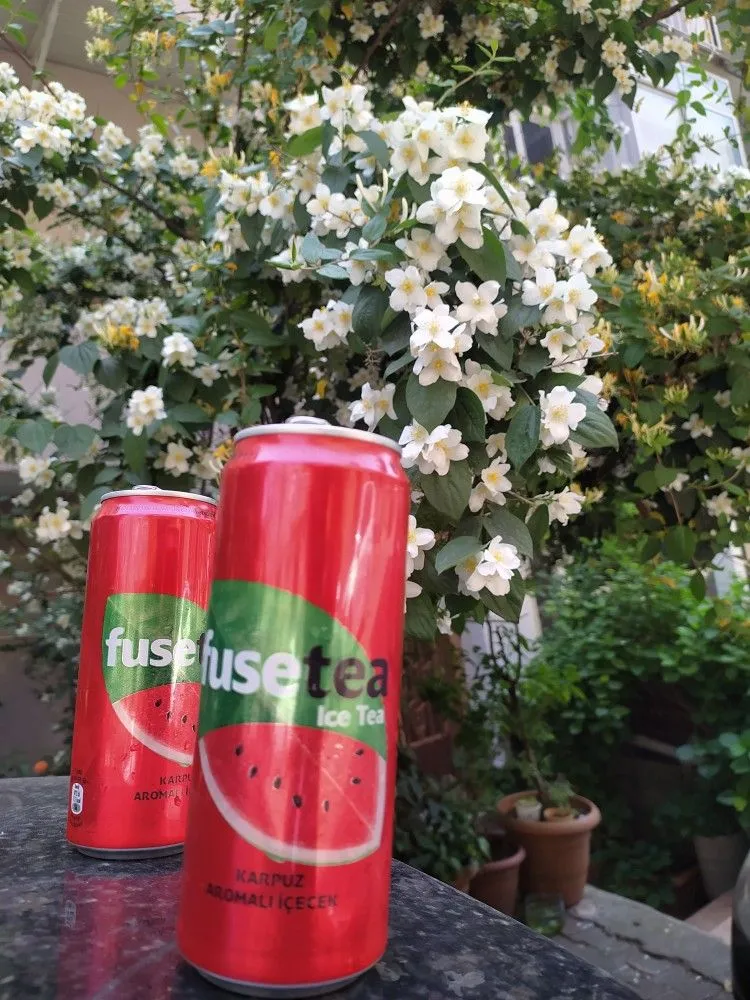 Fuse Tea Karpuz